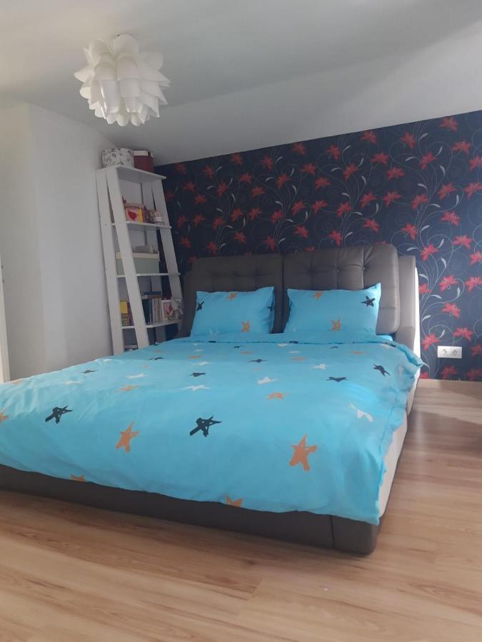 Apartament 3 Camere Râmnicu Vâlcea Zewnętrze zdjęcie